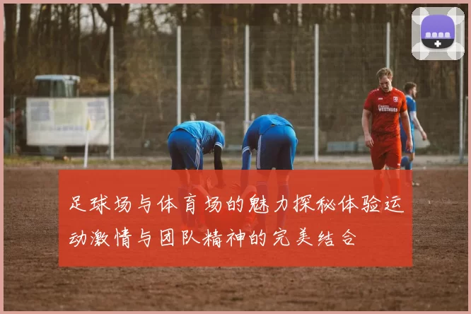 足球场与体育场的魅力探秘体验运动激情与团队精神的完美结合