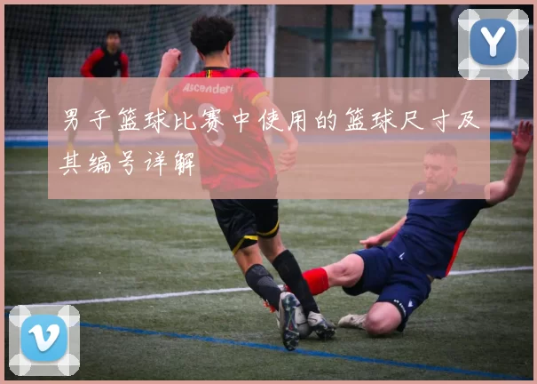 男子篮球比赛中使用的篮球尺寸及其编号详解